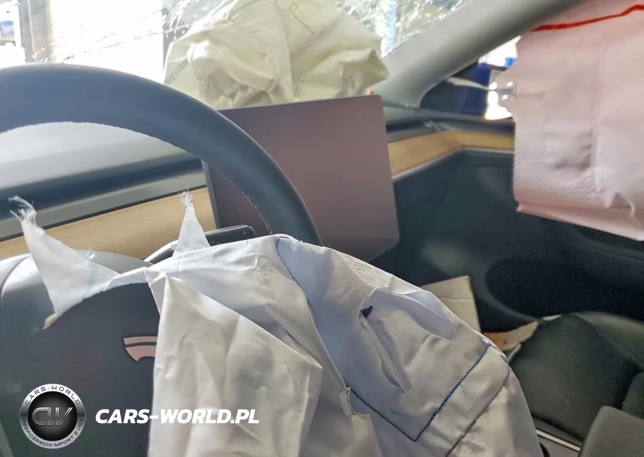 2023 Tesla Model Y VIN:7SAYGDEE6PA079390 - 9