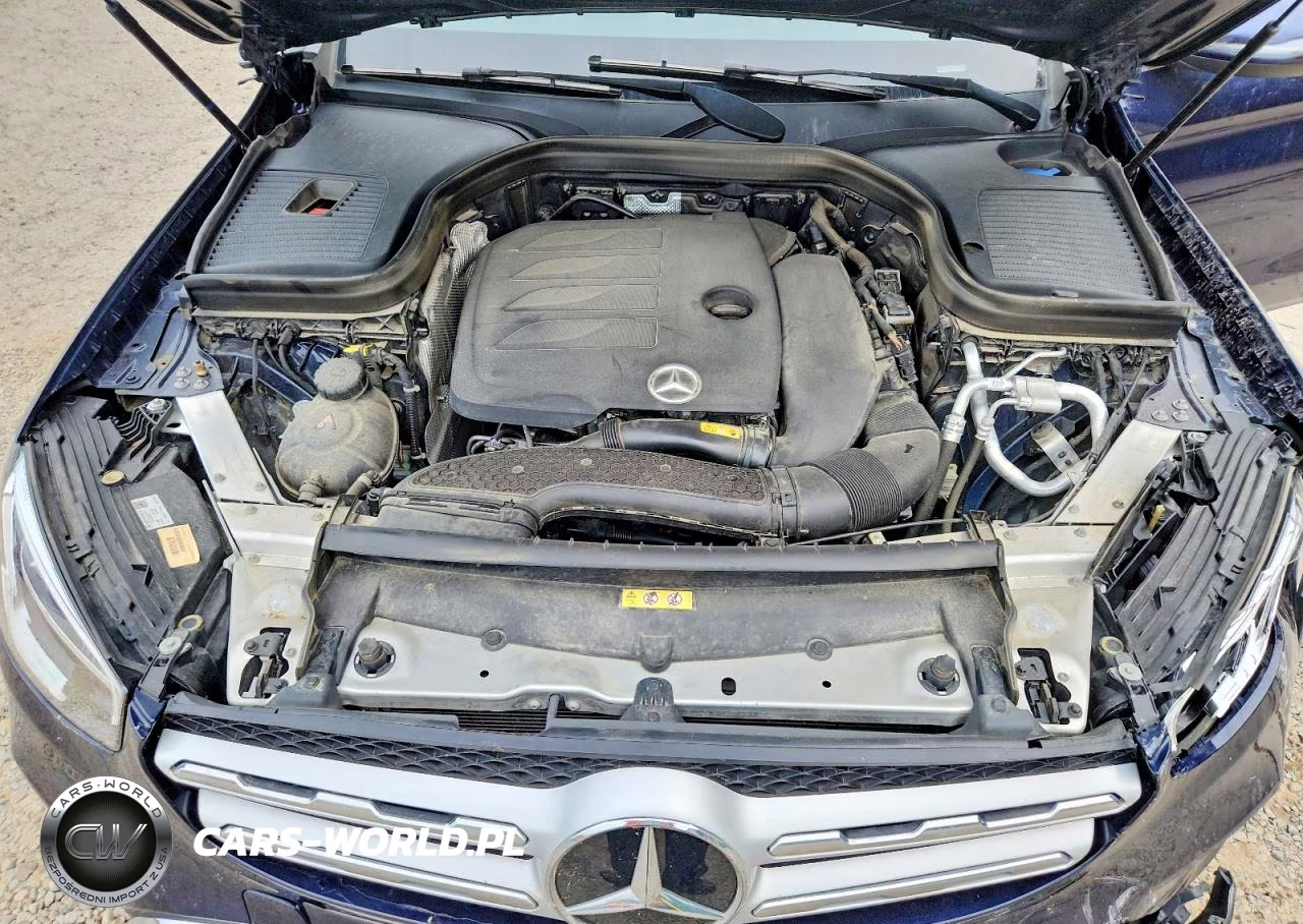 2022 Mercedes-Benz Glc 300 4Matic VIN:W1N0G8EB0NG102961 - 12