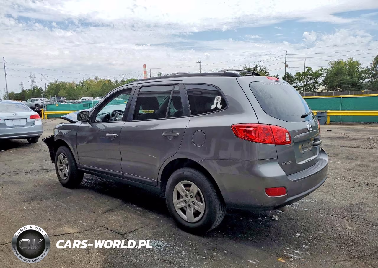 2009 Hyundai Santa Fe Gls VIN:5NMSG13D49H290121 - 2