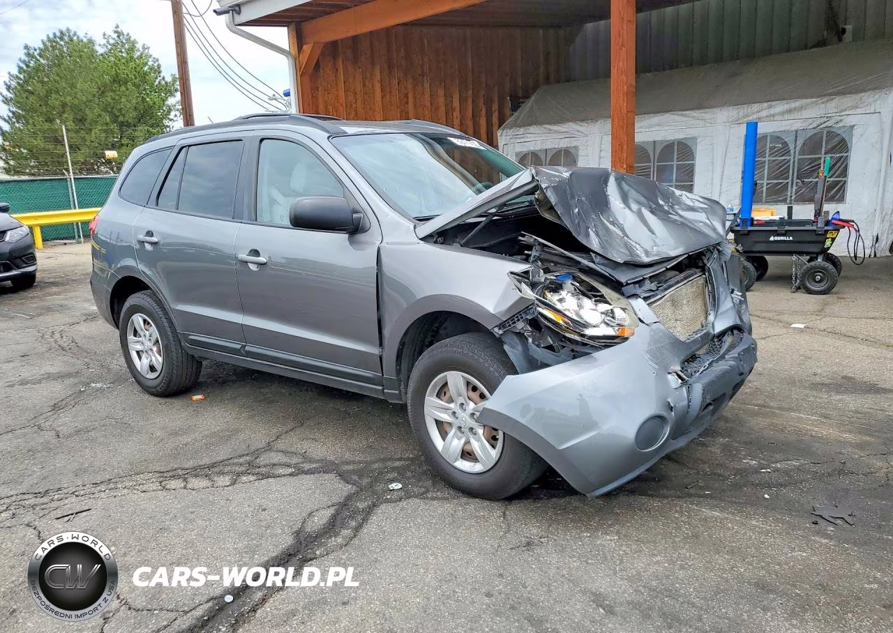 2009 Hyundai Santa Fe Gls VIN:5NMSG13D49H290121 - 4