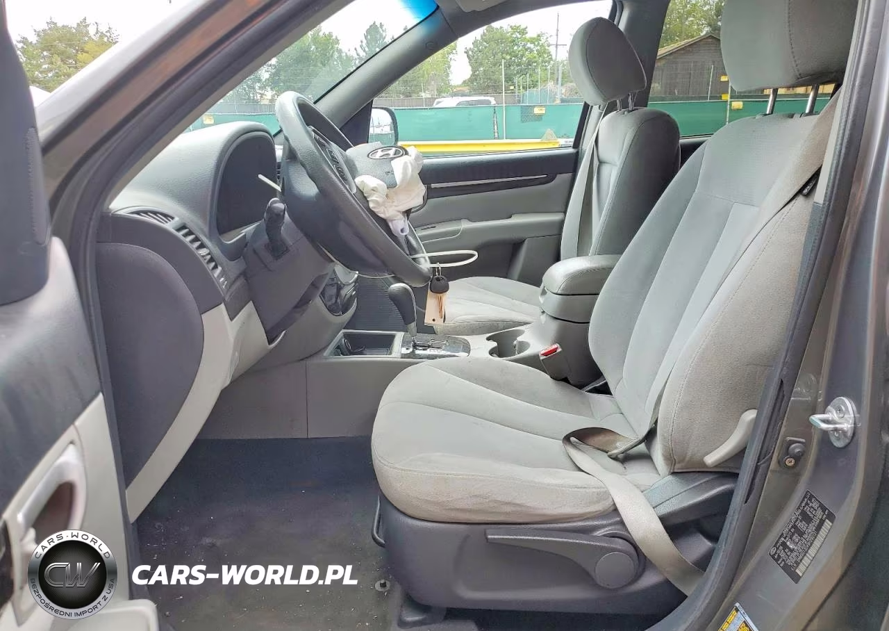 2009 Hyundai Santa Fe Gls VIN:5NMSG13D49H290121 - 7
