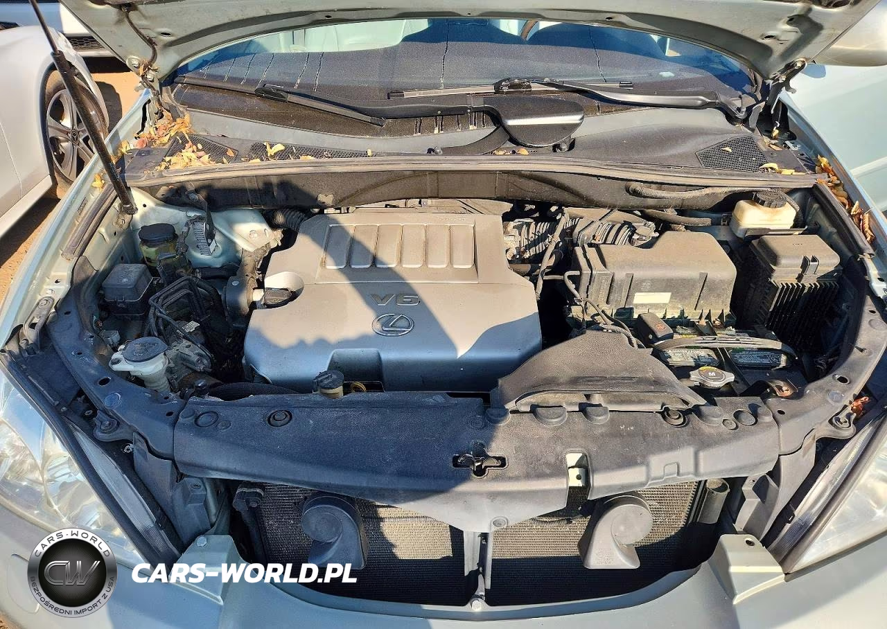 2007 Lexus Rx 350 VIN:2T2HK31U87C046459 - 11