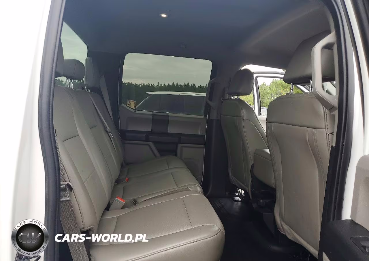 2019 Ford F150 Supercrew VIN:1FTEW1CB0KFD16523 - 10