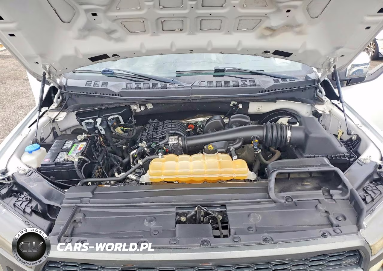 2019 Ford F150 Supercrew VIN:1FTEW1CB0KFD16523 - 11