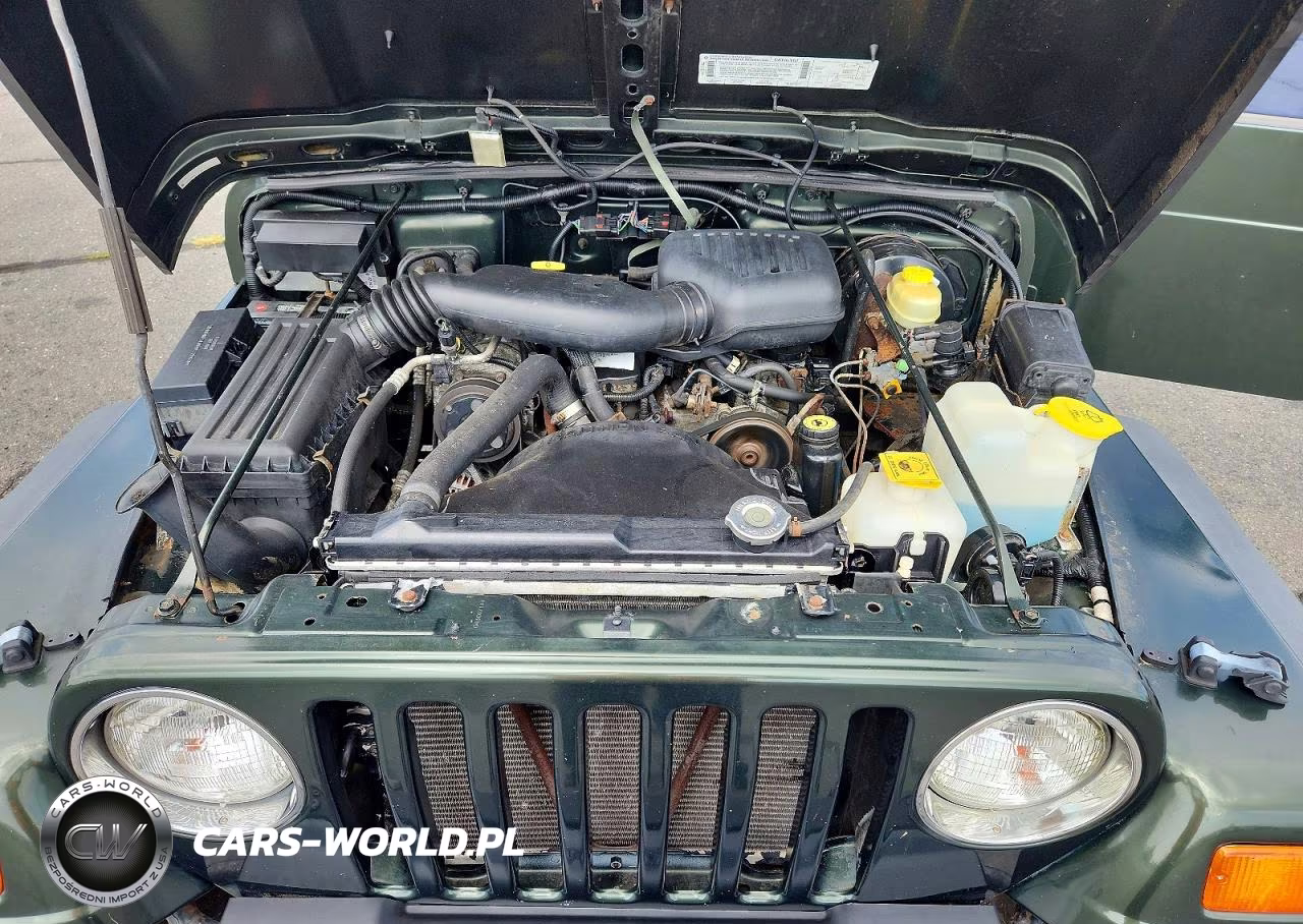 1998 Jeep Wrangler - Tj Se VIN:1J4FY29P6WP793488 - 12