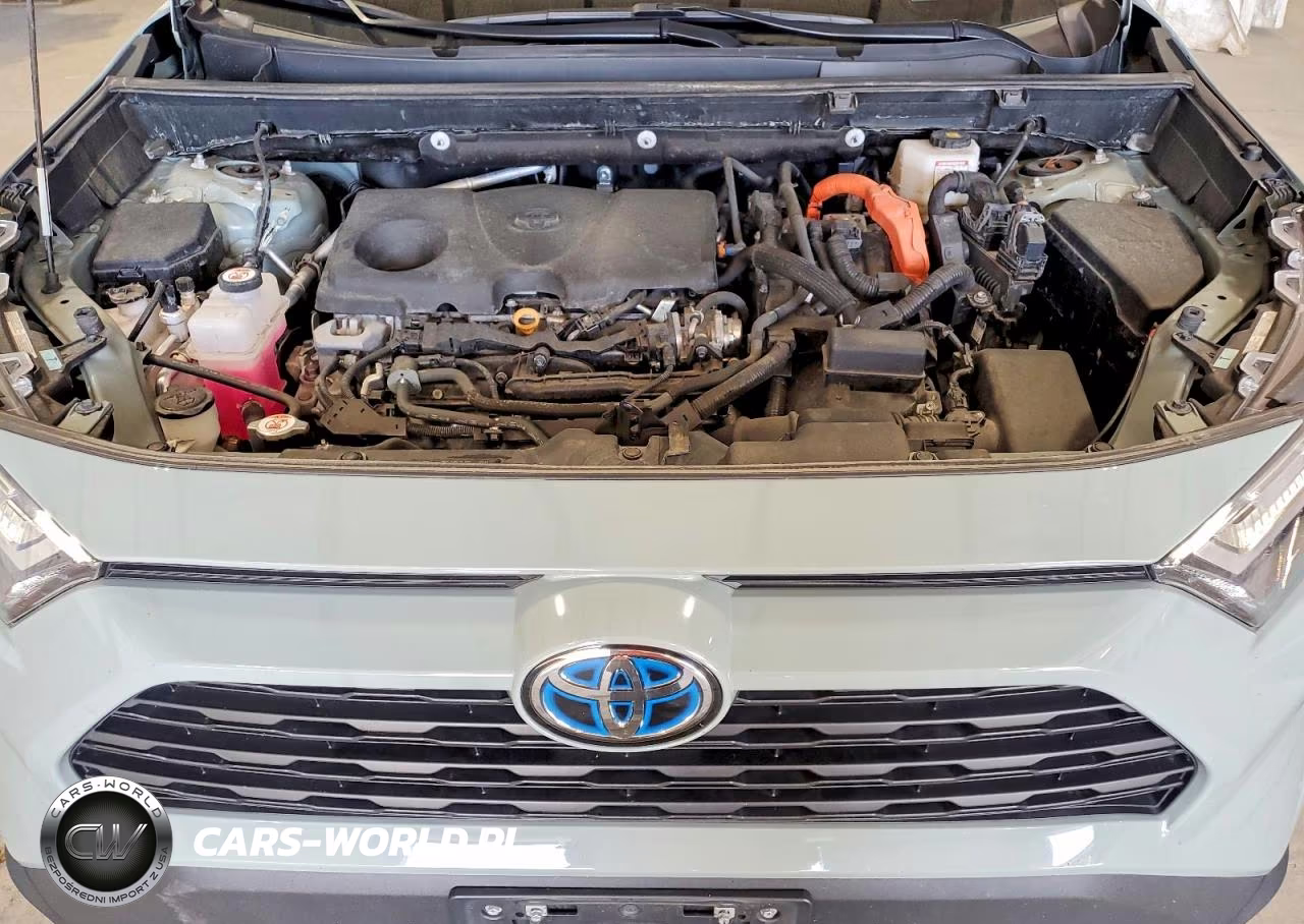 2023 Toyota Rav4 VIN:4T3RWRFV7PU106819 - 12