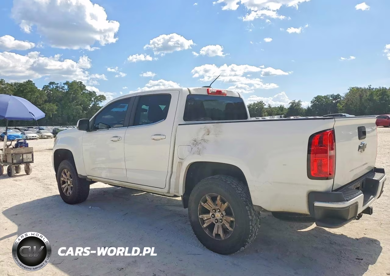 2019 Chevrolet Colorado Lt VIN:1GCGTCEN0K1103315 - 2
