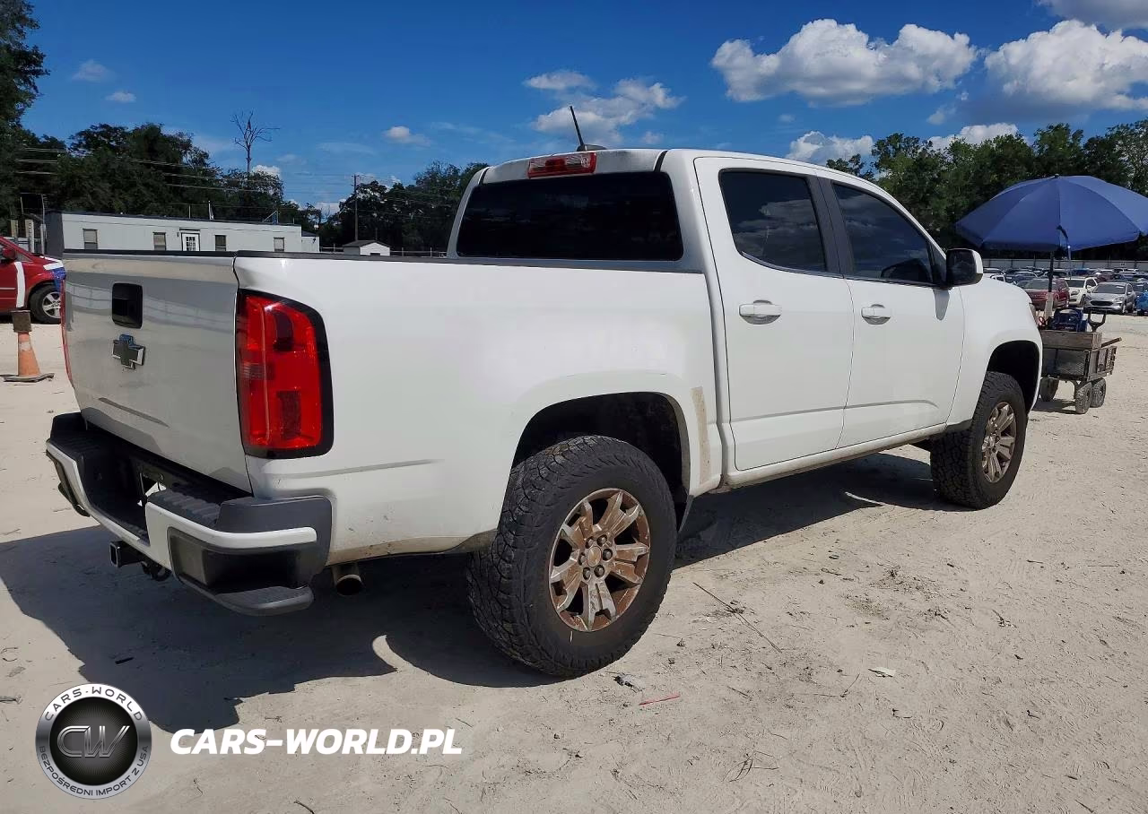 2019 Chevrolet Colorado Lt VIN:1GCGTCEN0K1103315 - 3