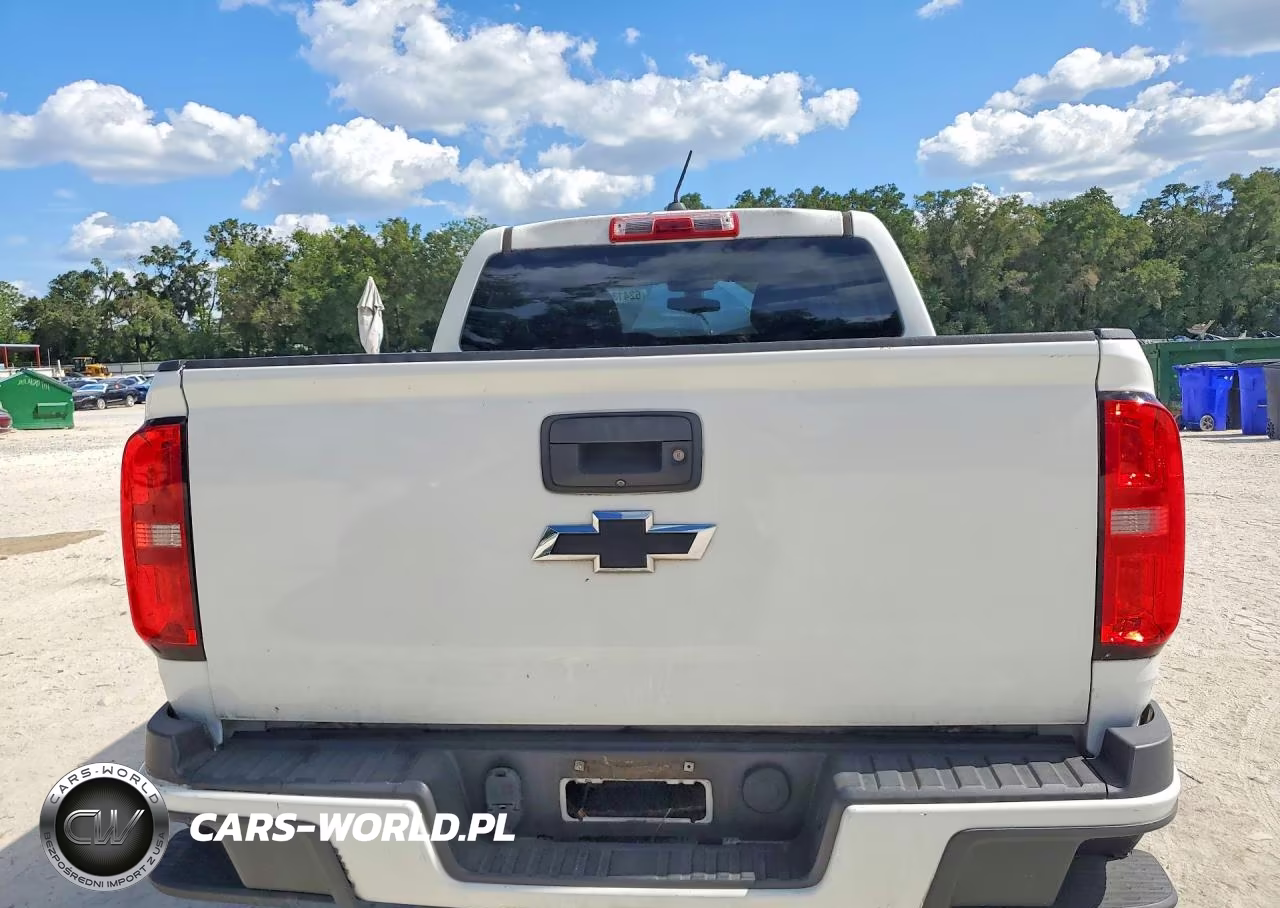 2019 Chevrolet Colorado Lt VIN:1GCGTCEN0K1103315 - 6