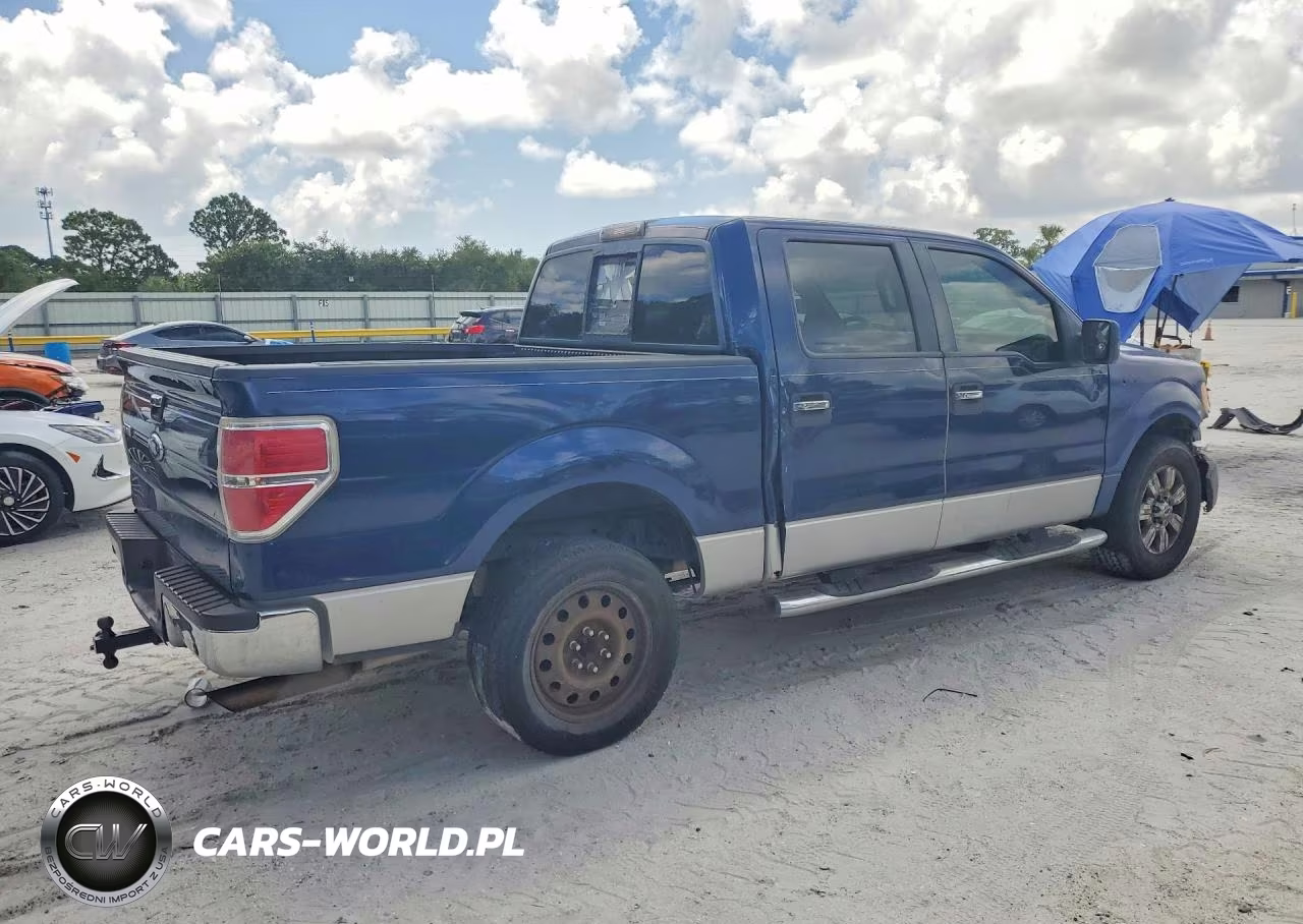 2010 Ford F150 Supercrew VIN:1FTEW1C86AFA22577 - 3
