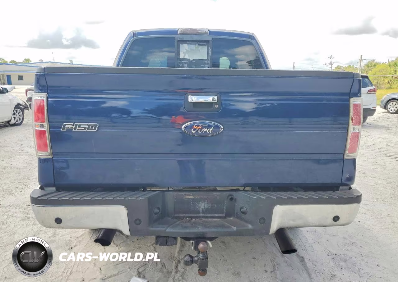 2010 Ford F150 Supercrew VIN:1FTEW1C86AFA22577 - 6
