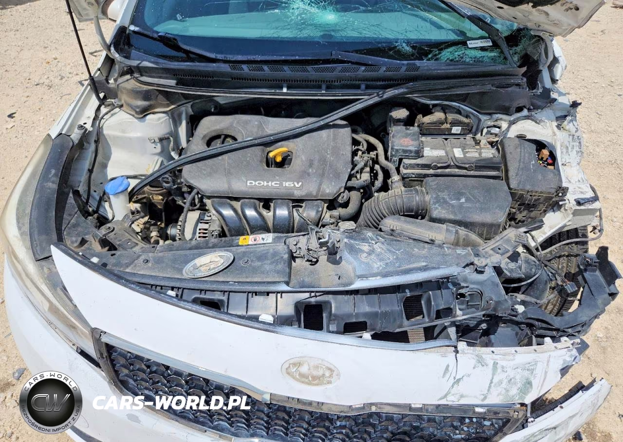 2017 Kia Forte Lx VIN:3KPFK4A77HE076213 - 11