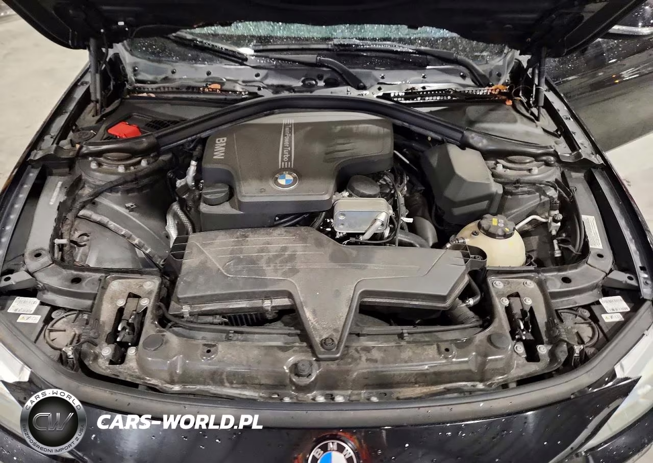 2016 BMW 428 I VIN:WBA3N7C59GK227097 - 11