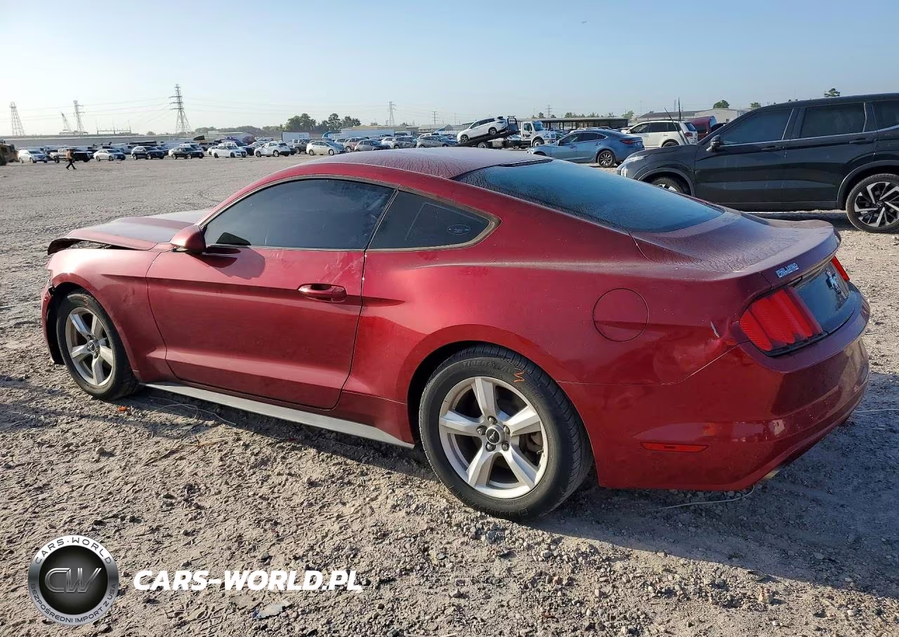 2017 Ford Mustang VIN:1FA6P8AM4H5225239 - 2
