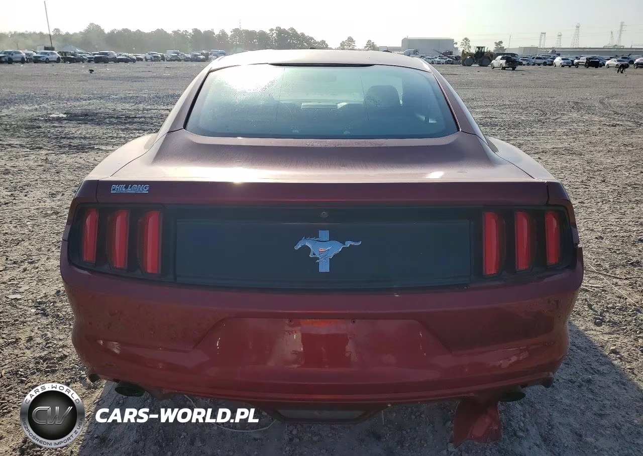 2017 Ford Mustang VIN:1FA6P8AM4H5225239 - 6