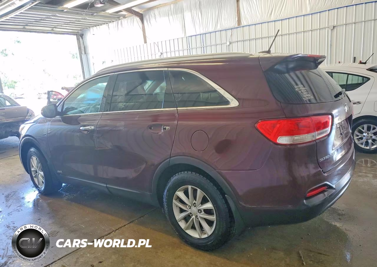 2017 Kia Sorento Lx VIN:5XYPGDA36HG249290 - 2
