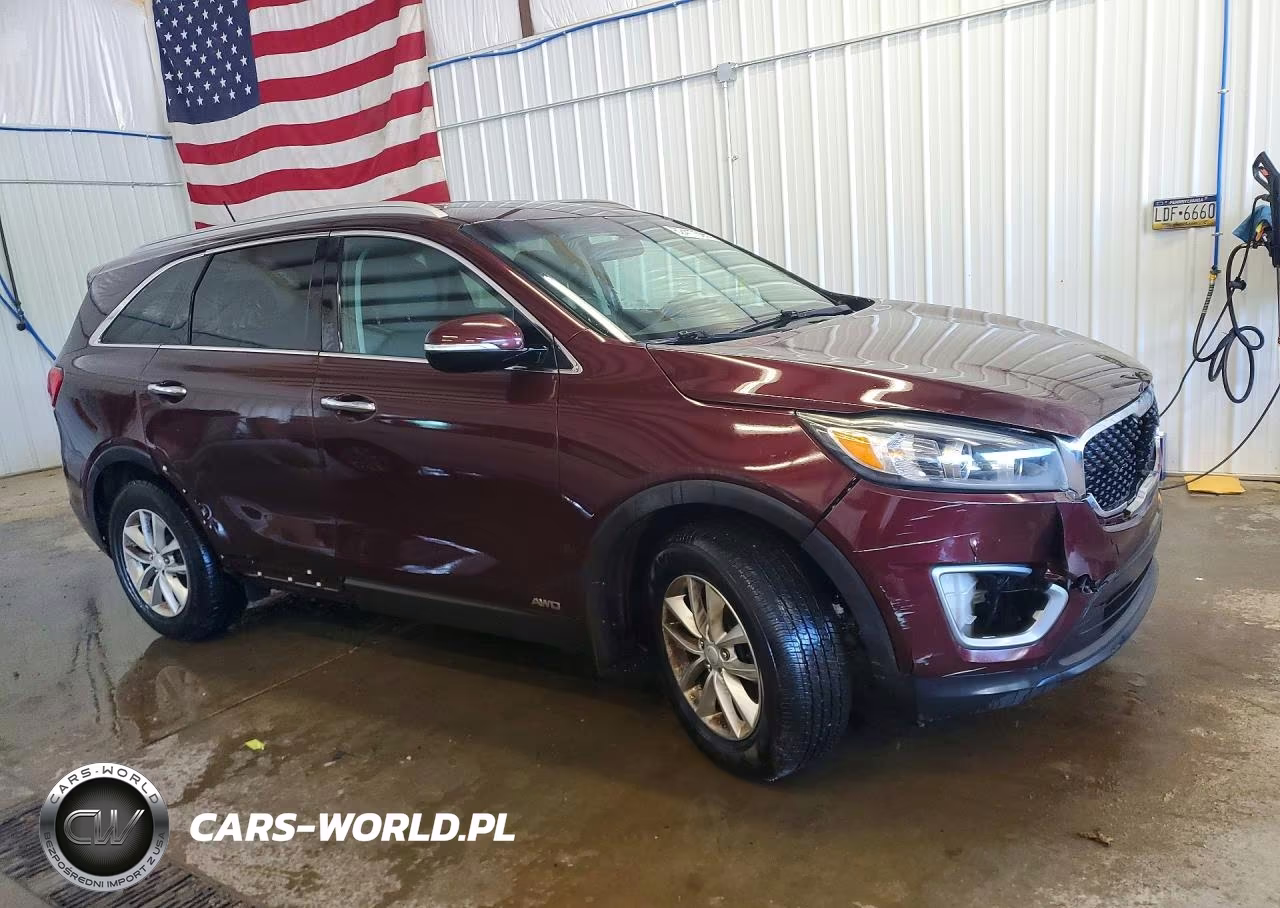2017 Kia Sorento Lx VIN:5XYPGDA36HG249290 - 4