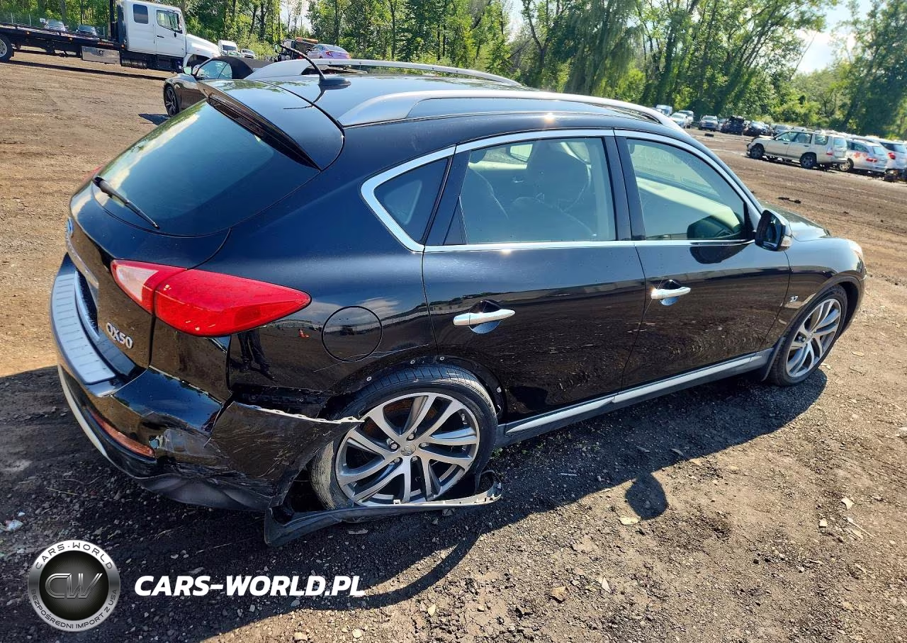 2017 Infiniti Qx50 Base VIN:JN1BJ0RR5HM408962 - 3
