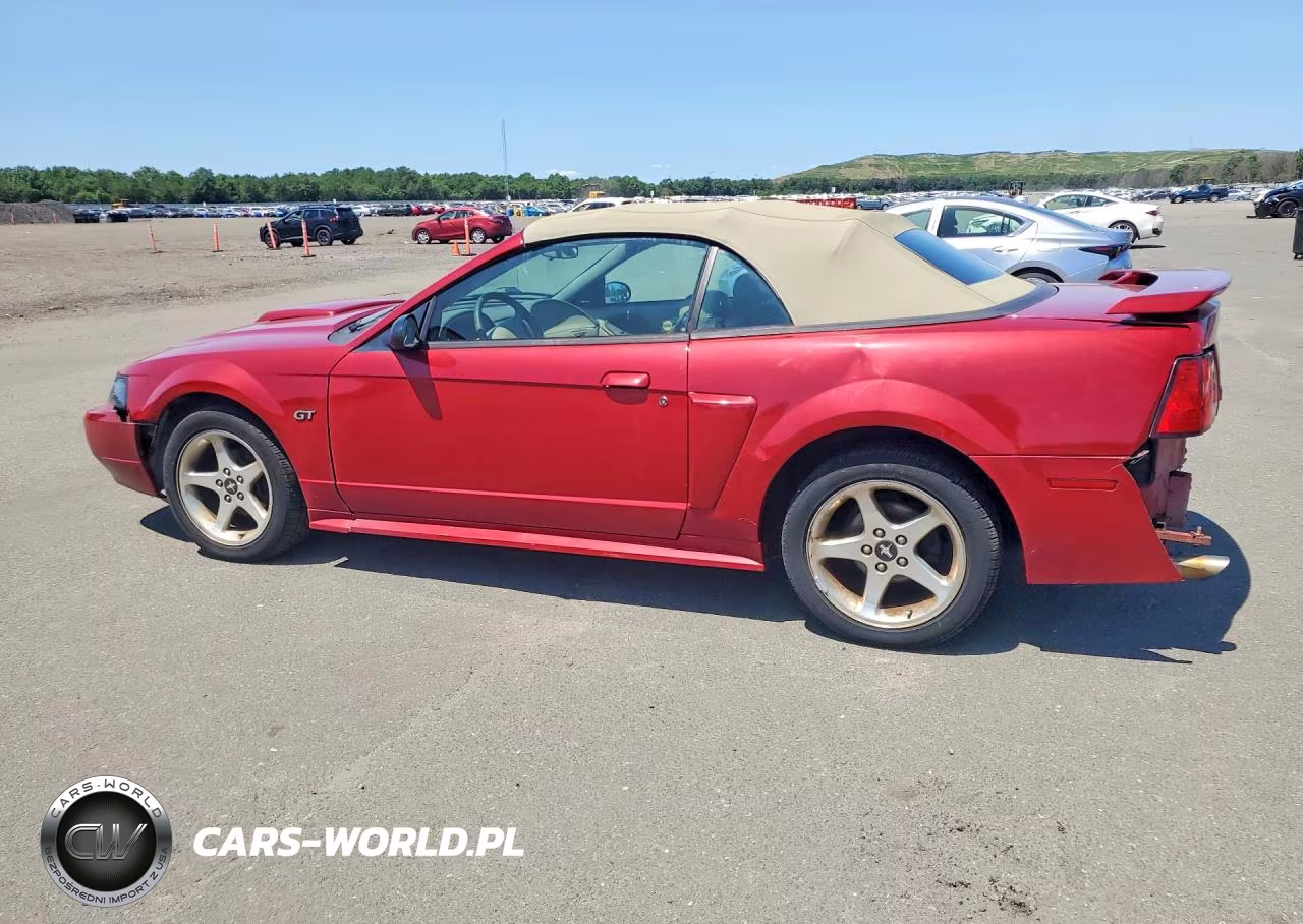 2003 Ford Mustang Gt VIN:1FAFP45XX3F388493 - 2