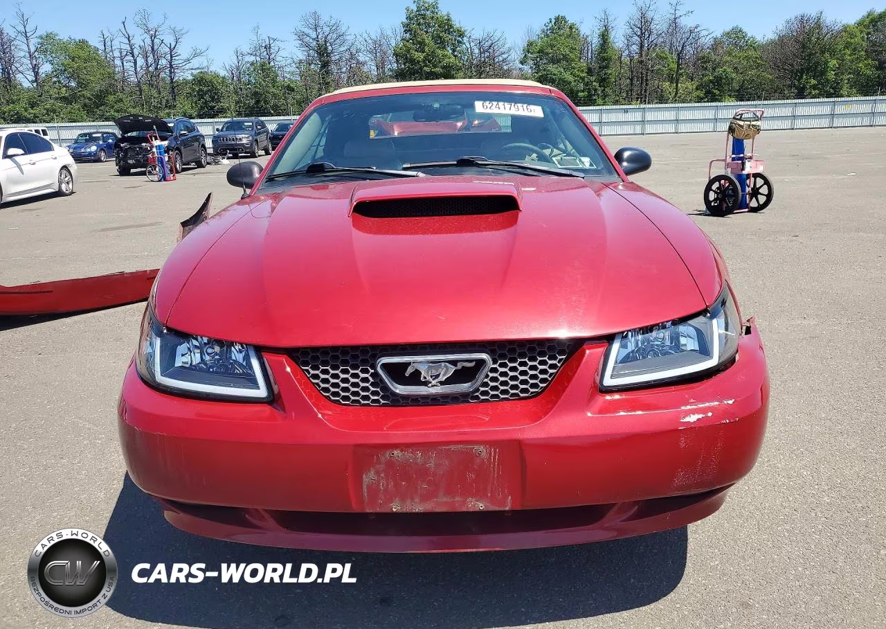 2003 Ford Mustang Gt VIN:1FAFP45XX3F388493 - 5