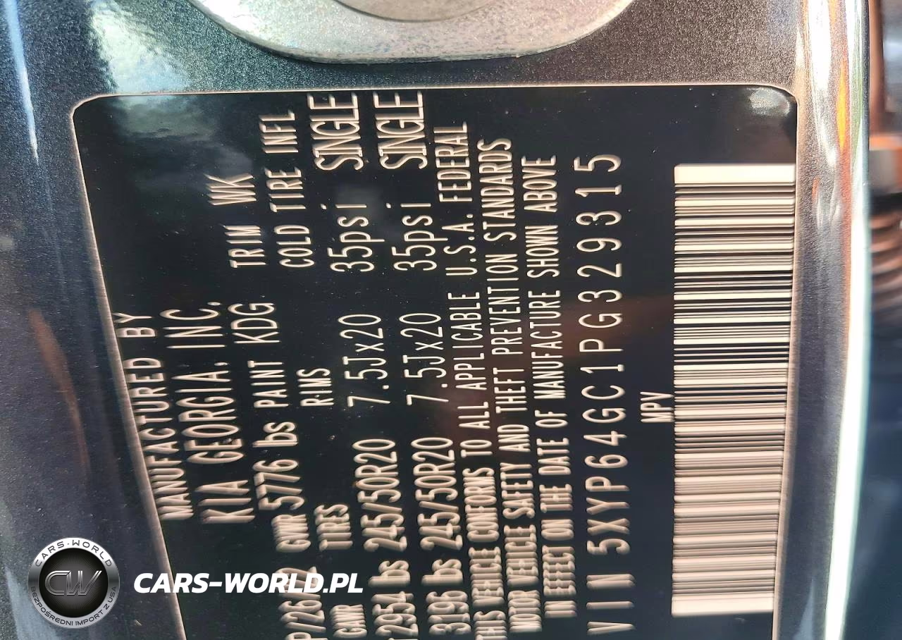 2023 Kia Telluride S VIN:5XYP64GC1PG329315 - 13