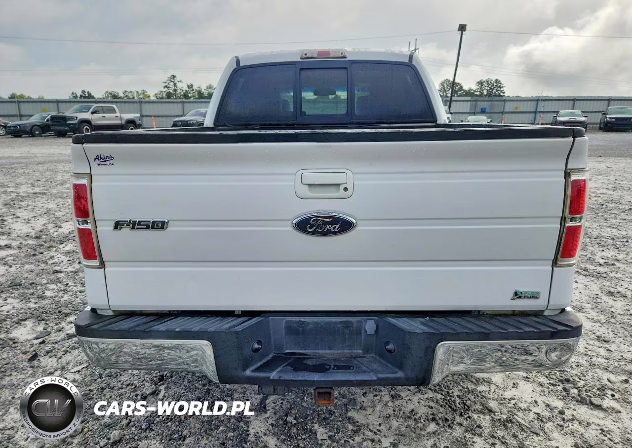 2010 Ford F150 Supercrew VIN:1FTFW1CV3AFD71755 - 6