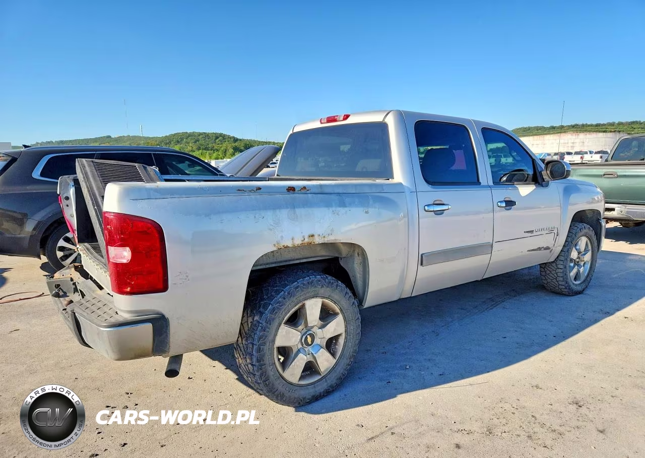 2010 Chevrolet Silverado C1500 Lt VIN:3GCRCSEA4AG230097 - 3