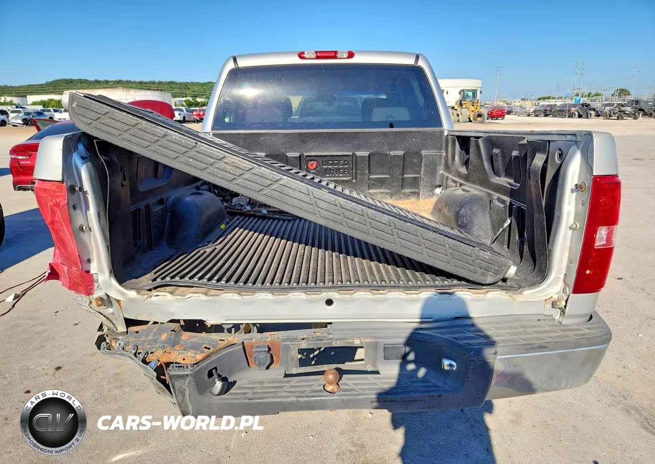 2010 Chevrolet Silverado C1500 Lt VIN:3GCRCSEA4AG230097 - 6