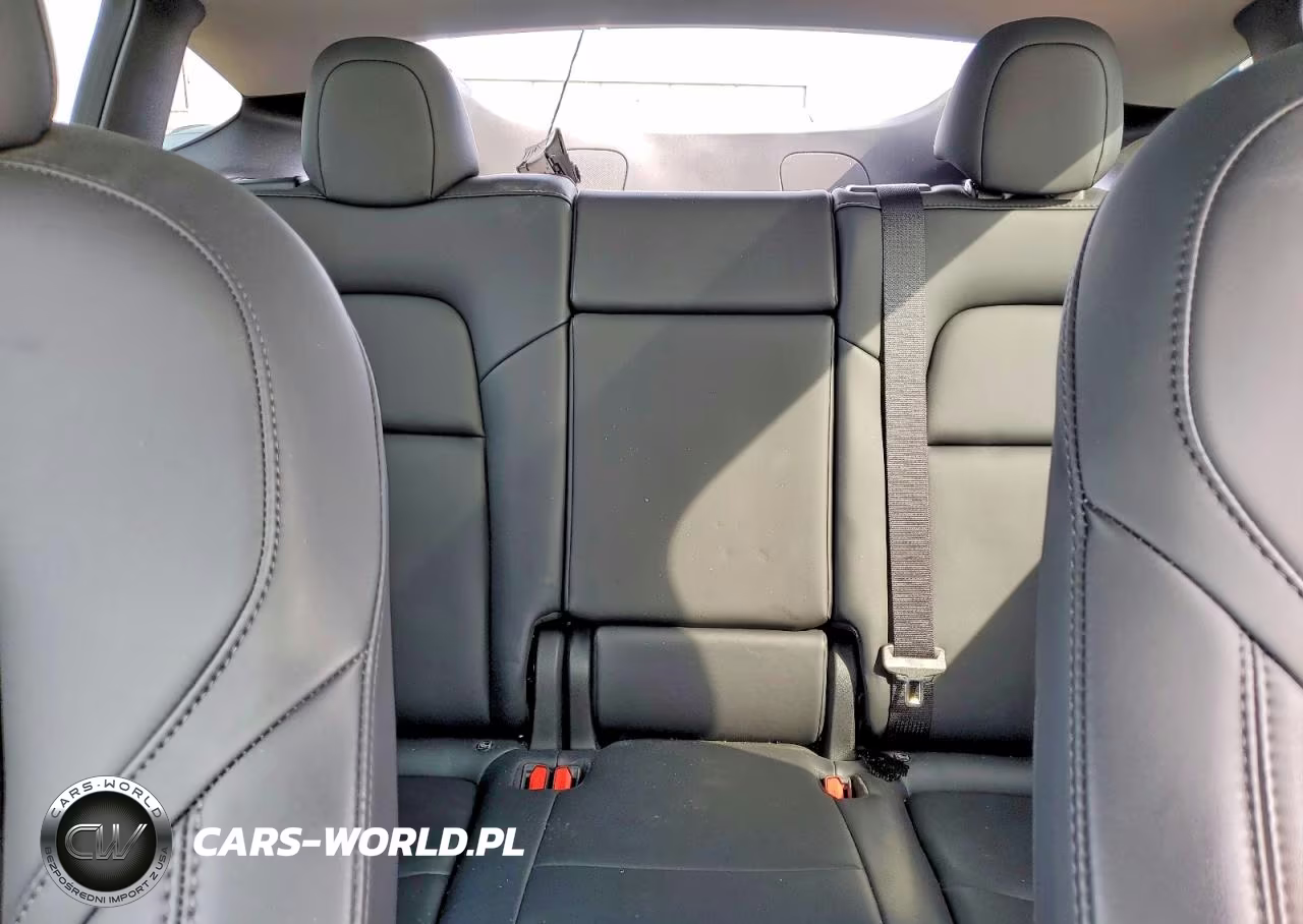2023 Tesla Model Y VIN:7SAYGDEE3PF663300 - 10