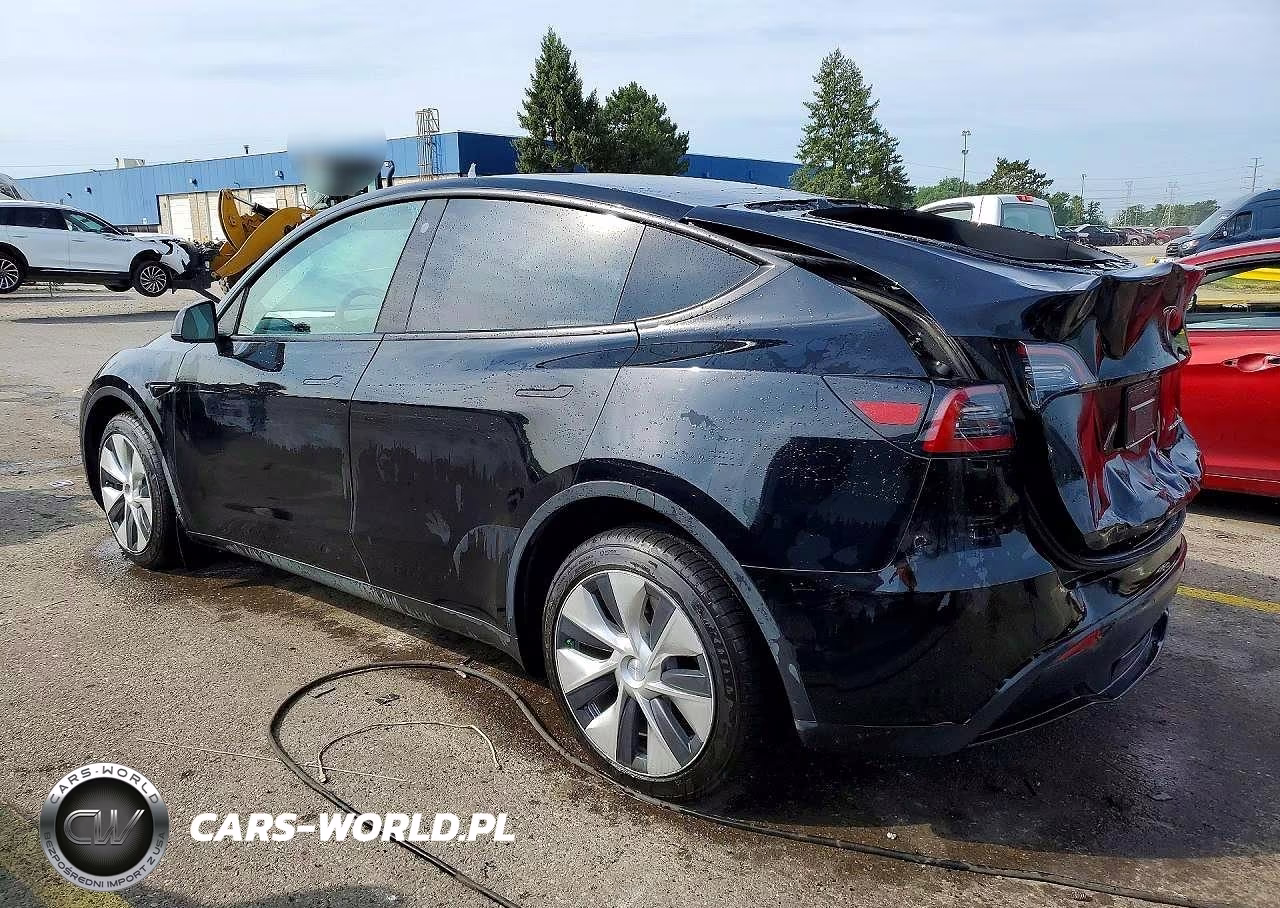 2023 Tesla Model Y VIN:7SAYGDEE3PF663300 - 2