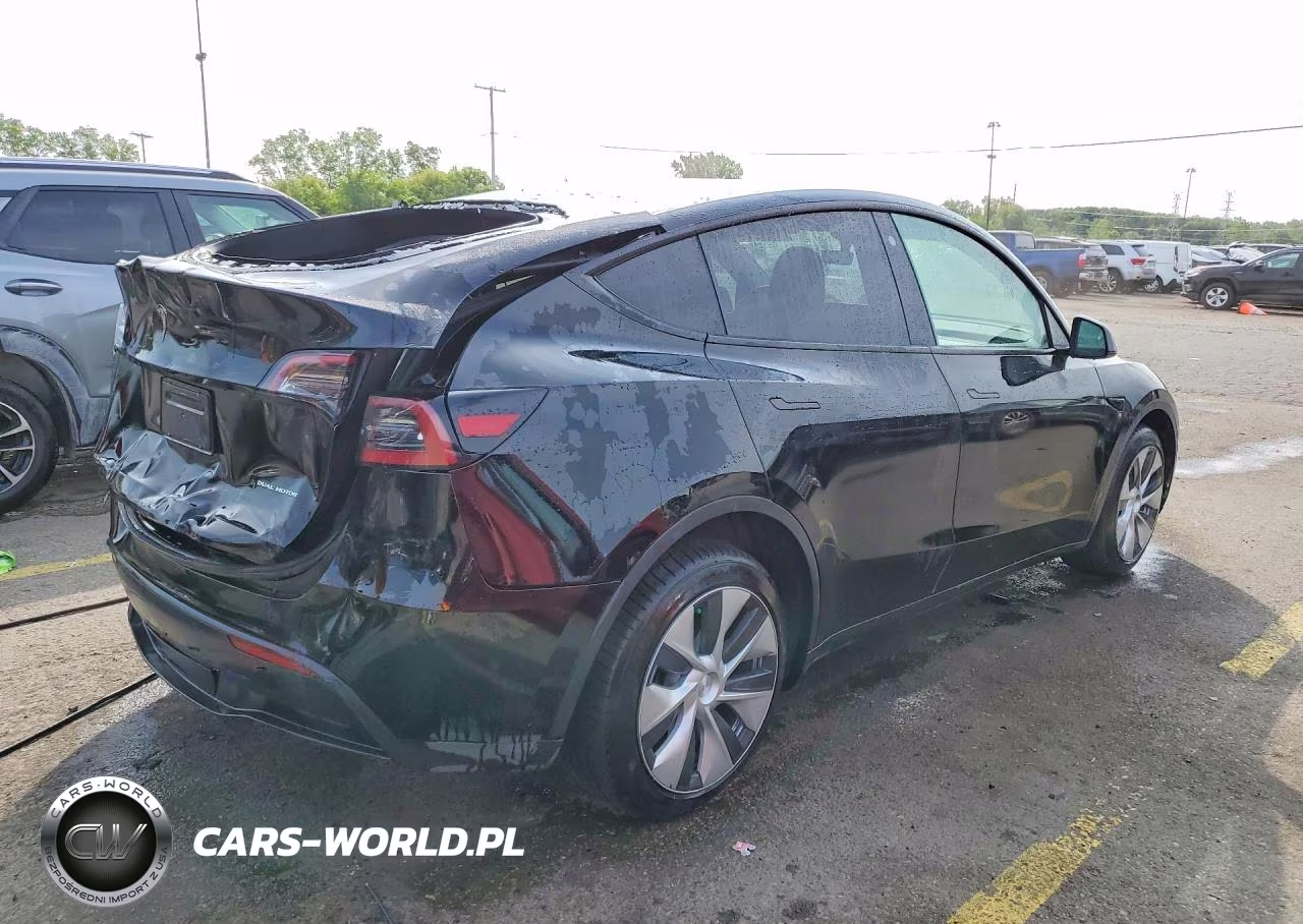 2023 Tesla Model Y VIN:7SAYGDEE3PF663300 - 3
