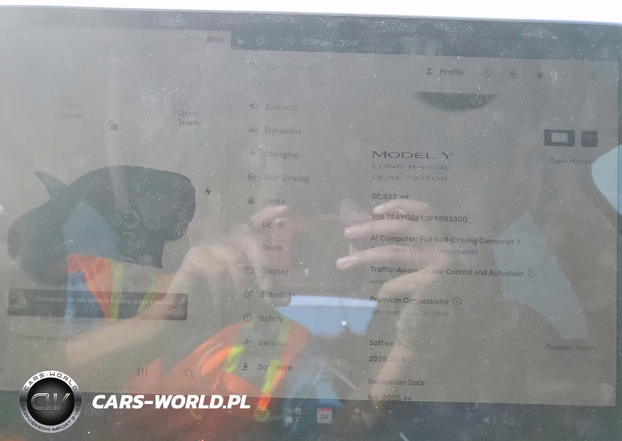 2023 Tesla Model Y VIN:7SAYGDEE3PF663300 - 9