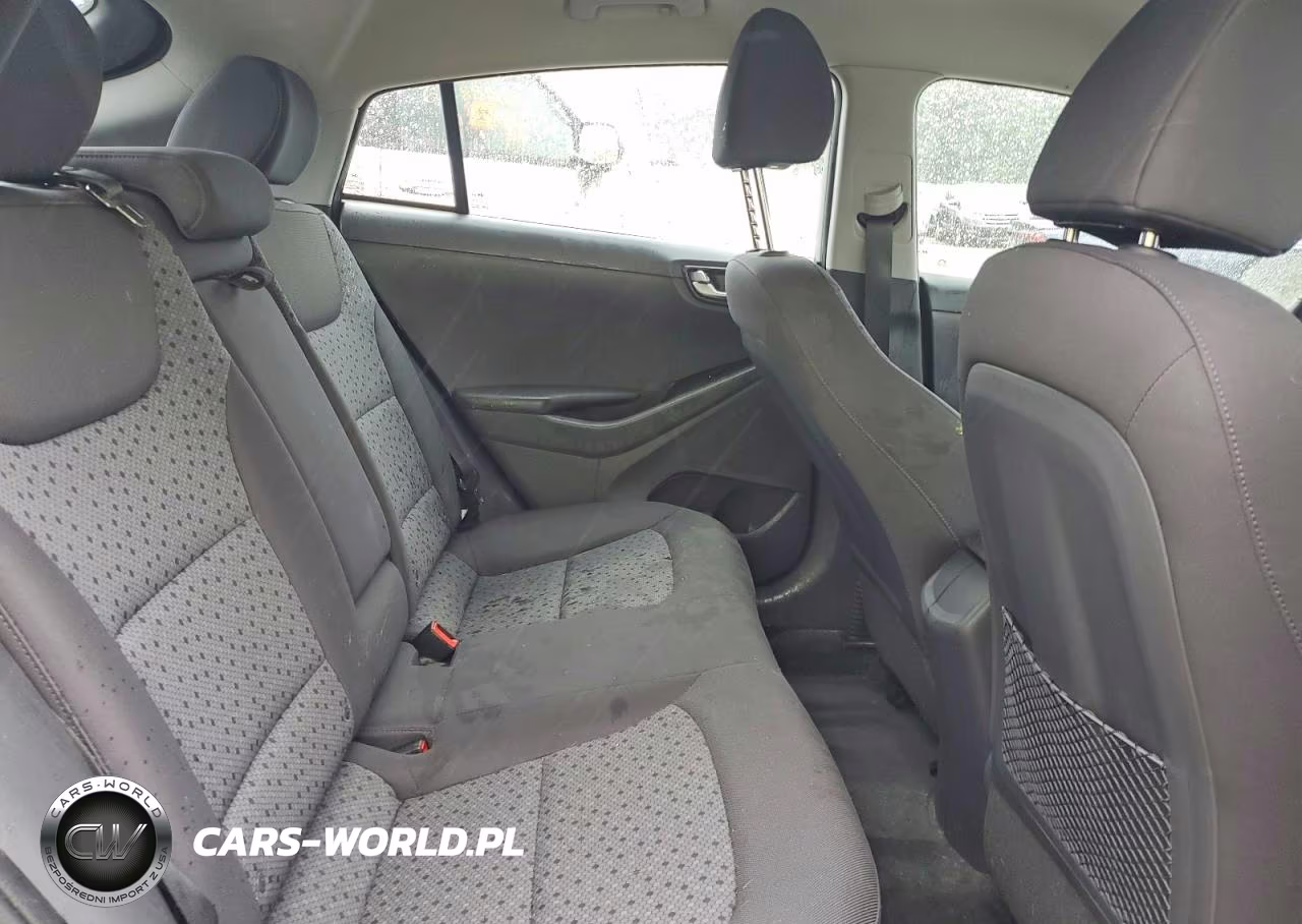 2017 Hyundai Ioniq Sel VIN:KMHC75LC4HU028380 - 10