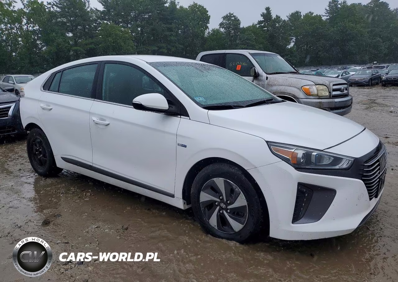 2017 Hyundai Ioniq Sel VIN:KMHC75LC4HU028380 - 4