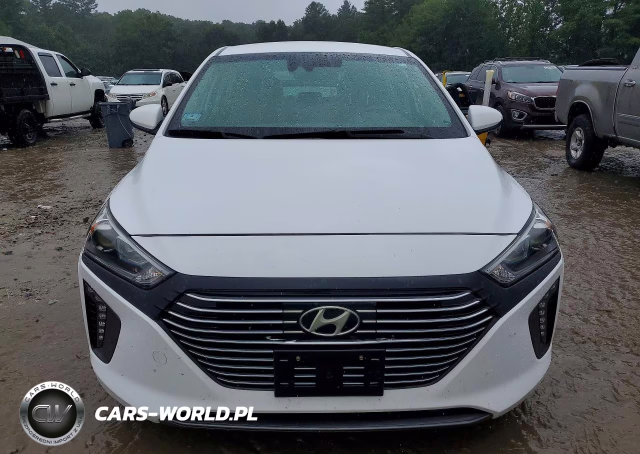 2017 Hyundai Ioniq Sel VIN:KMHC75LC4HU028380 - 5