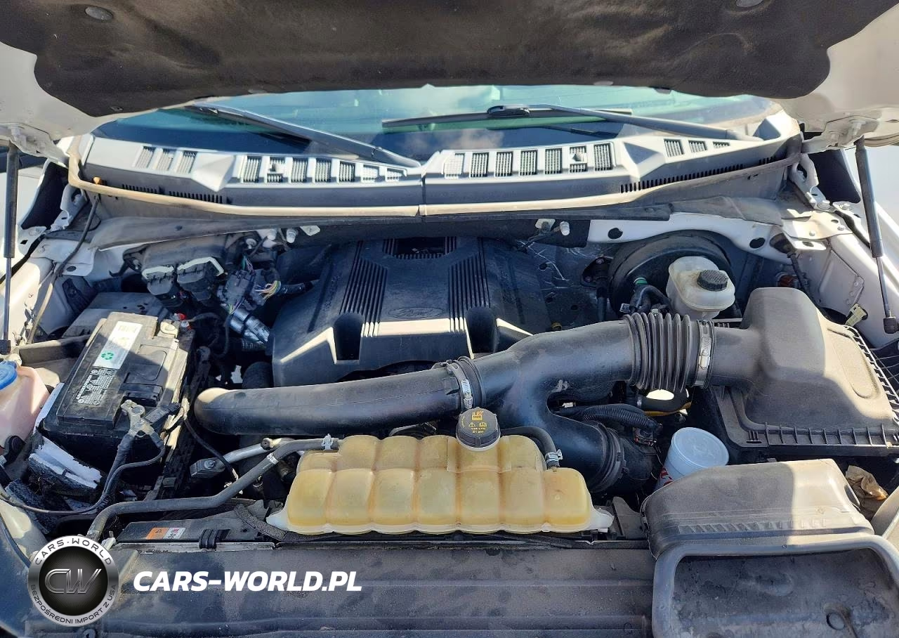 2019 Ford F150 Supercrew VIN:1FTEW1C41KFC39887 - 11