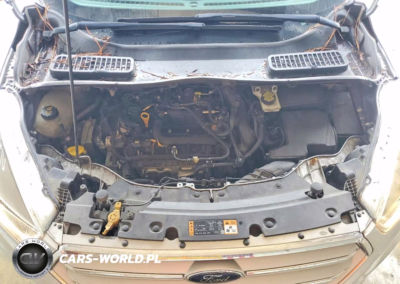 2019 Ford Escape Se VIN:1FMCU0GD9KUB06755 - 12