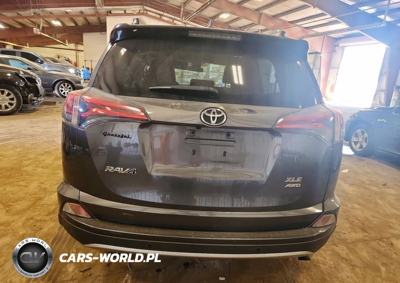 2017 Toyota Rav4 Xle VIN:JTMRFREV0HD207703 - 6