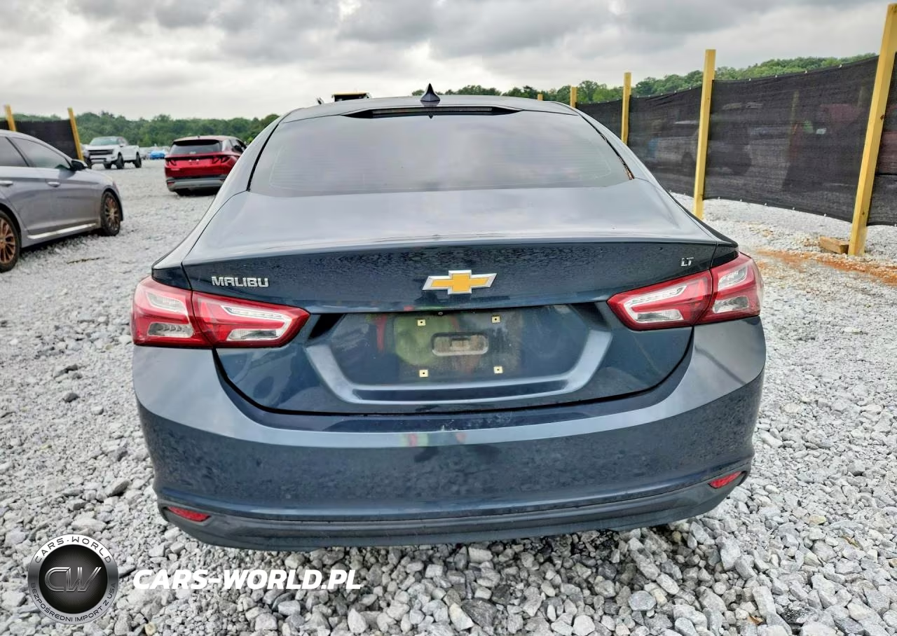 2019 Chevrolet Malibu Lt VIN:1G1ZD5ST5KF147665 - 6