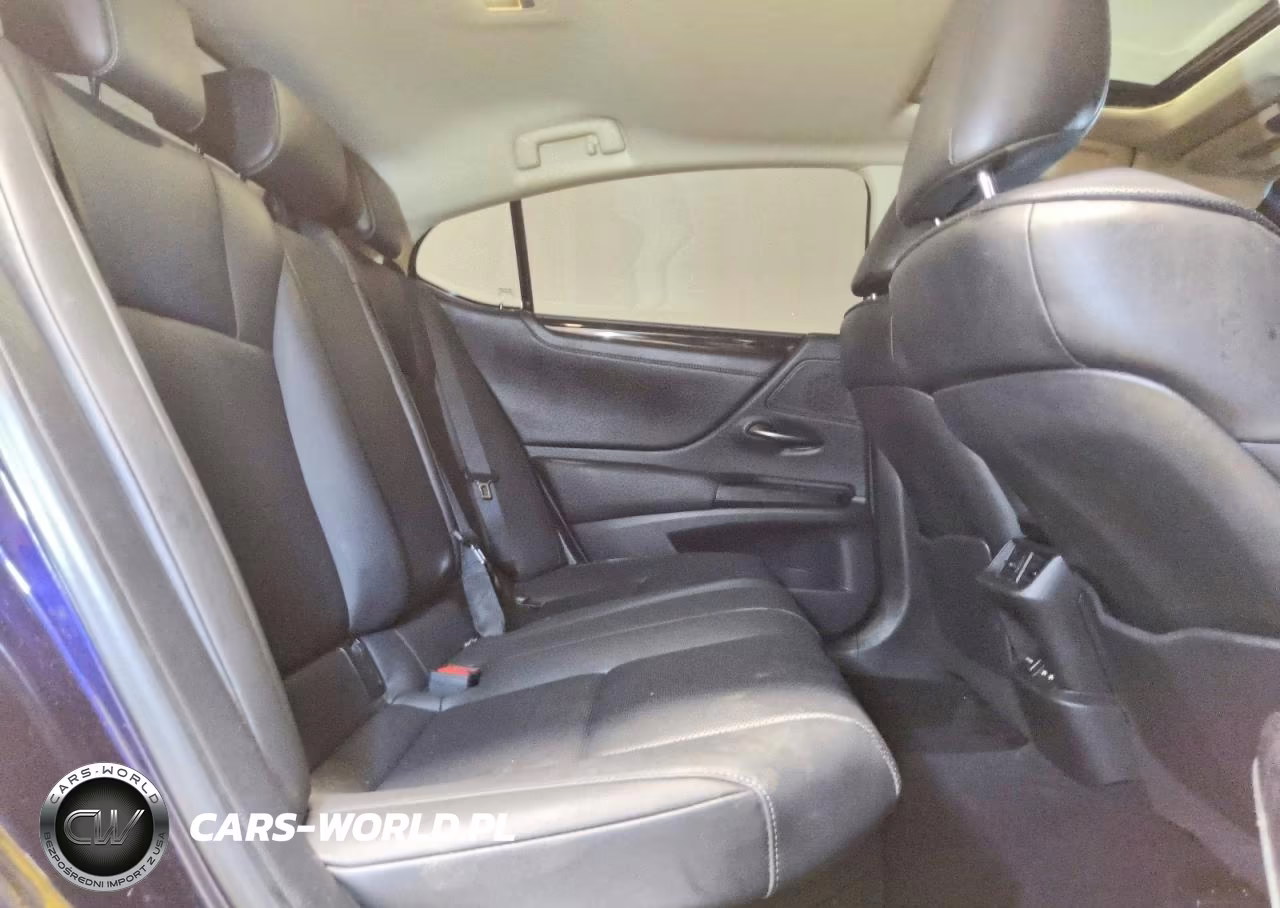 2021 Lexus Es 300H VIN:58ADA1C19MU005418 - 10
