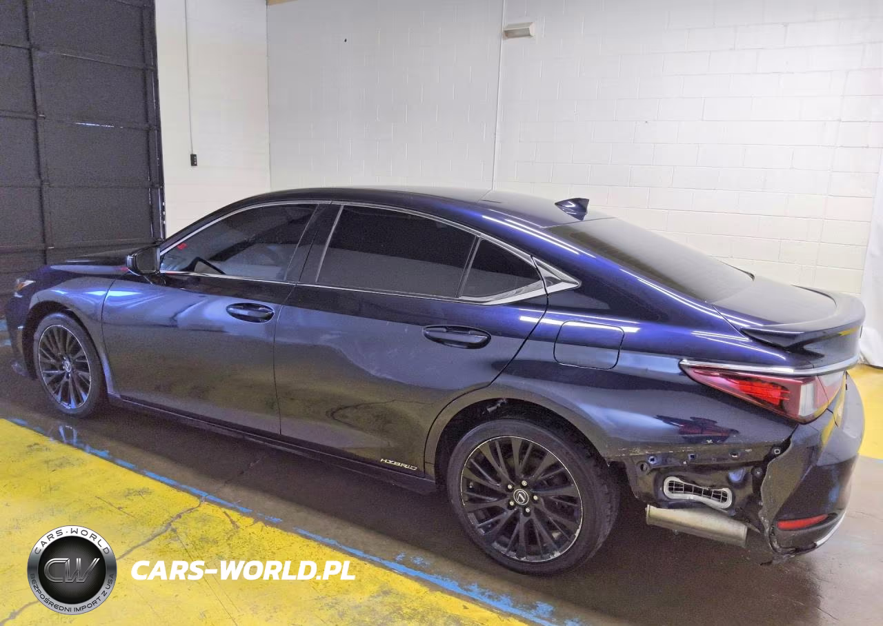 2021 Lexus Es 300H VIN:58ADA1C19MU005418 - 2