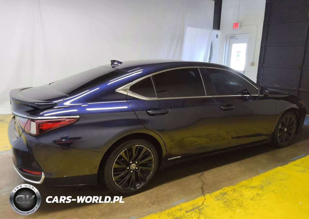 2021 Lexus Es 300H VIN:58ADA1C19MU005418 - 3
