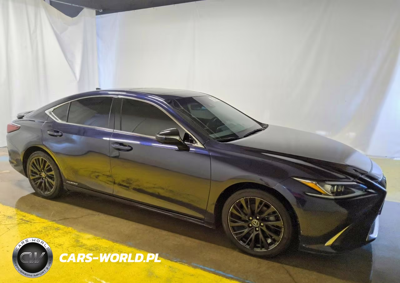 2021 Lexus Es 300H VIN:58ADA1C19MU005418 - 4
