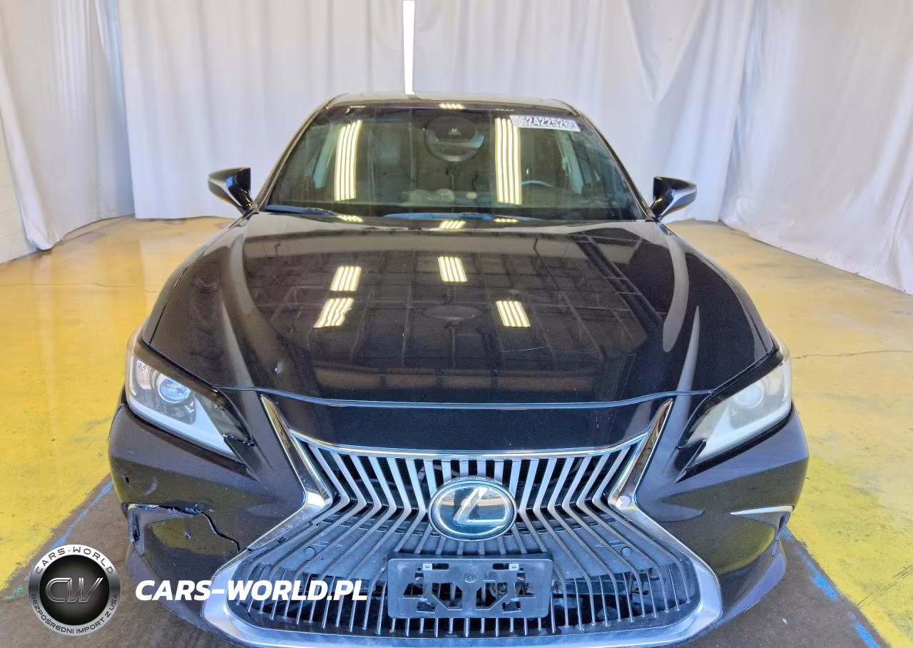 2021 Lexus Es 300H VIN:58ADA1C19MU005418 - 5