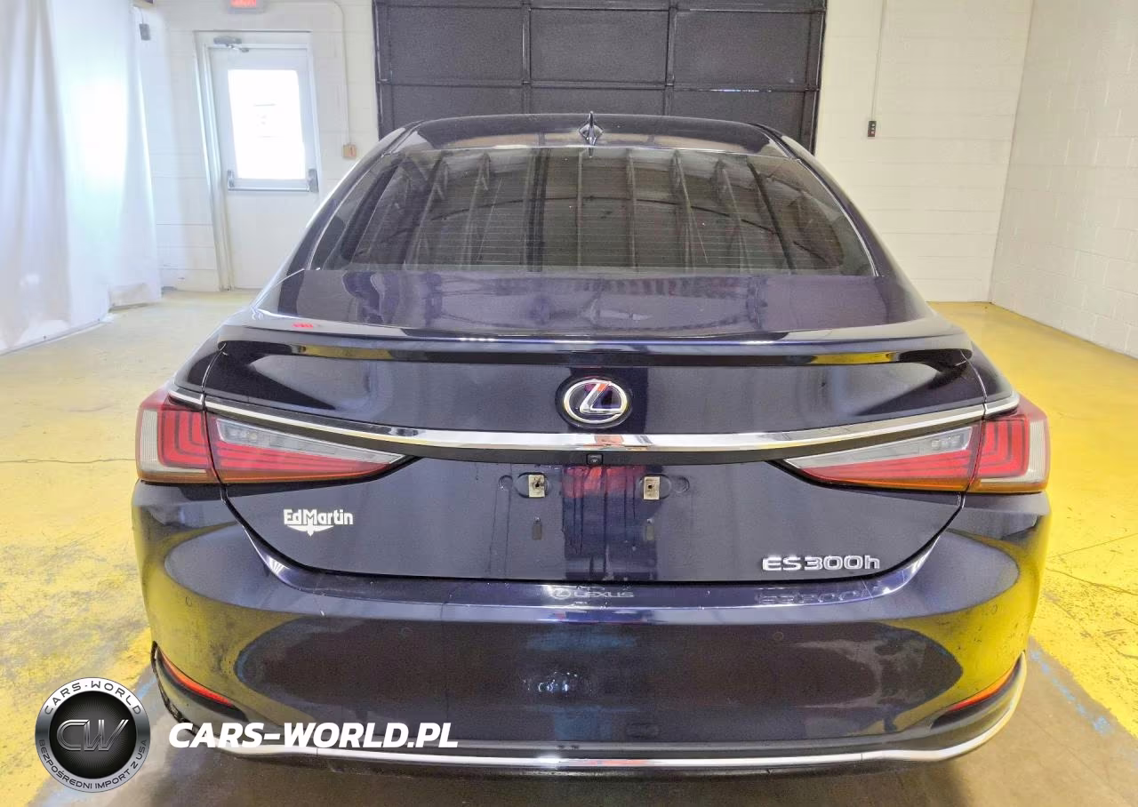 2021 Lexus Es 300H VIN:58ADA1C19MU005418 - 6