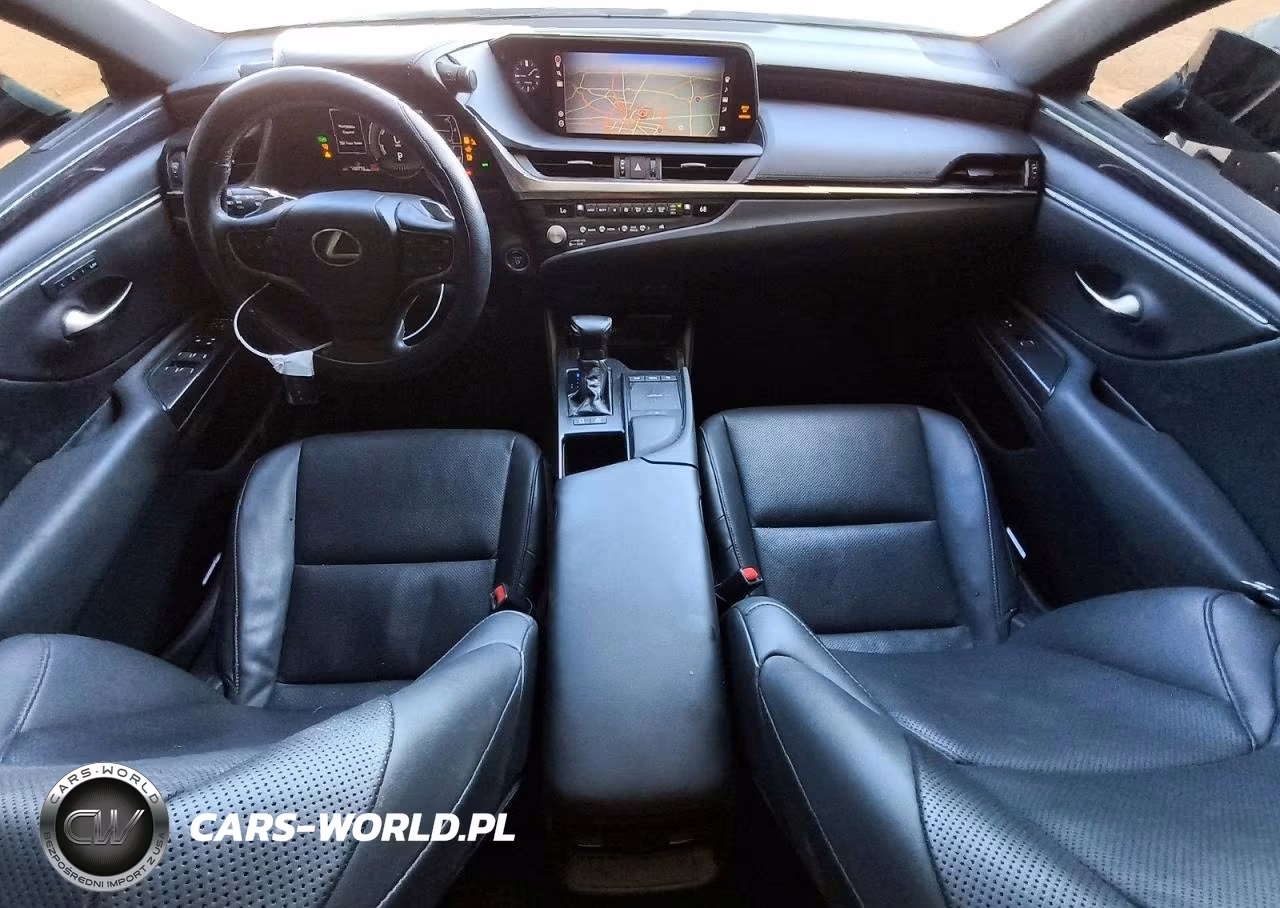 2021 Lexus Es 300H VIN:58ADA1C19MU005418 - 8
