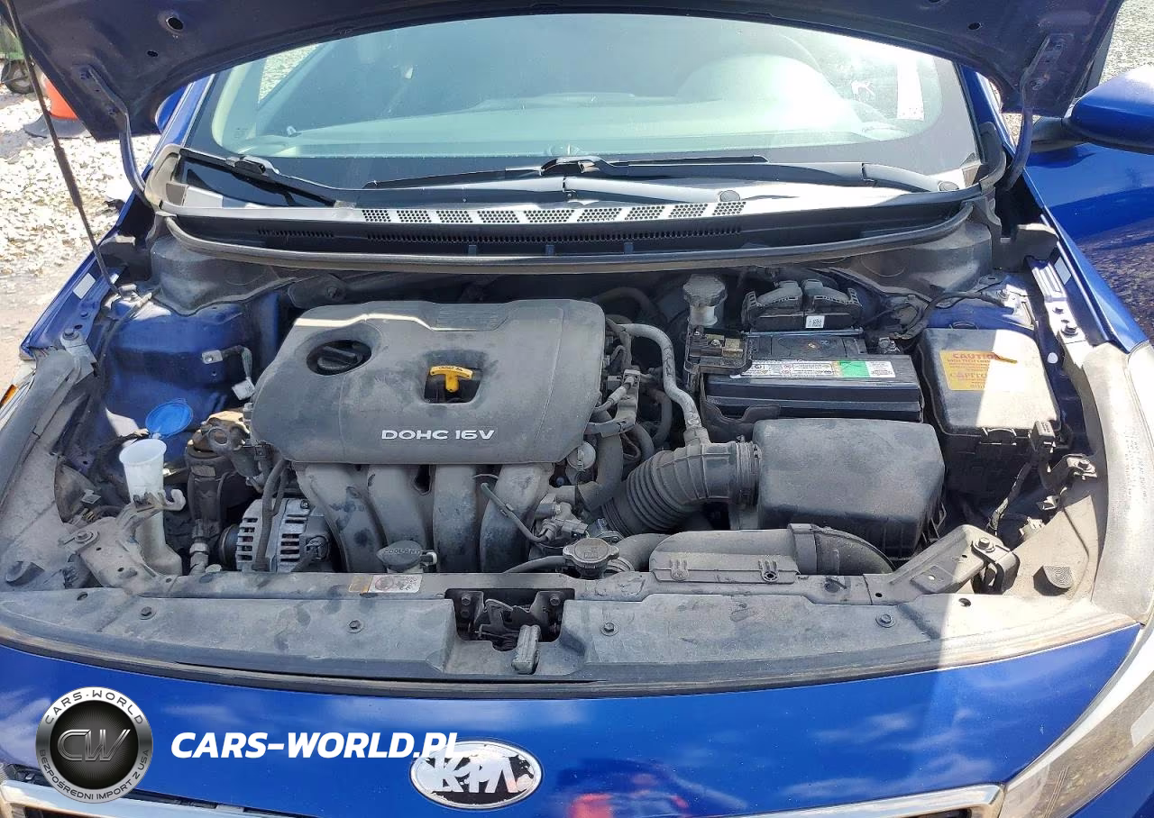 2017 Kia Forte Lx VIN:3KPFK4A7XHE085536 - 11