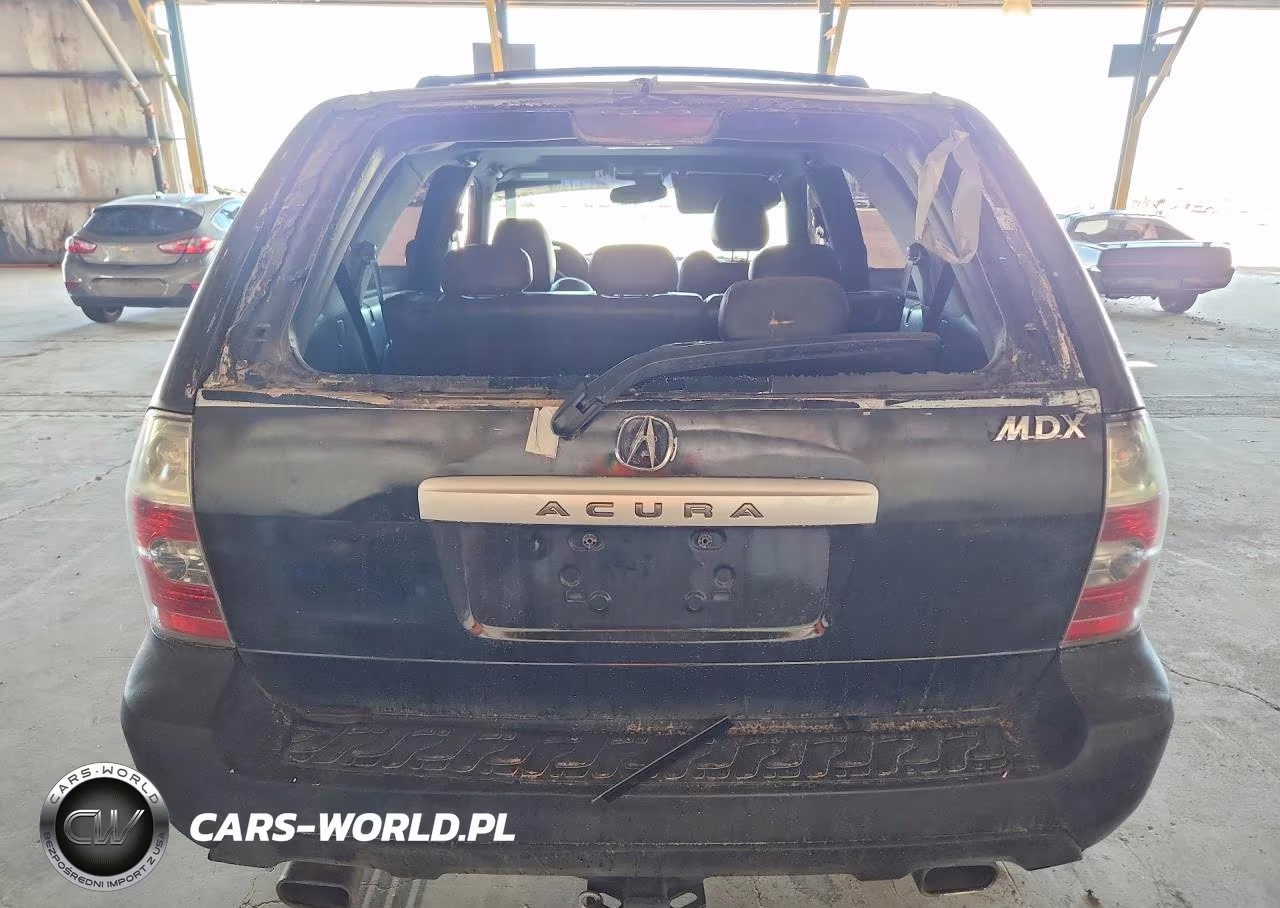 2006 Acura Mdx Touring VIN:2HNYD186X6H549628 - 6