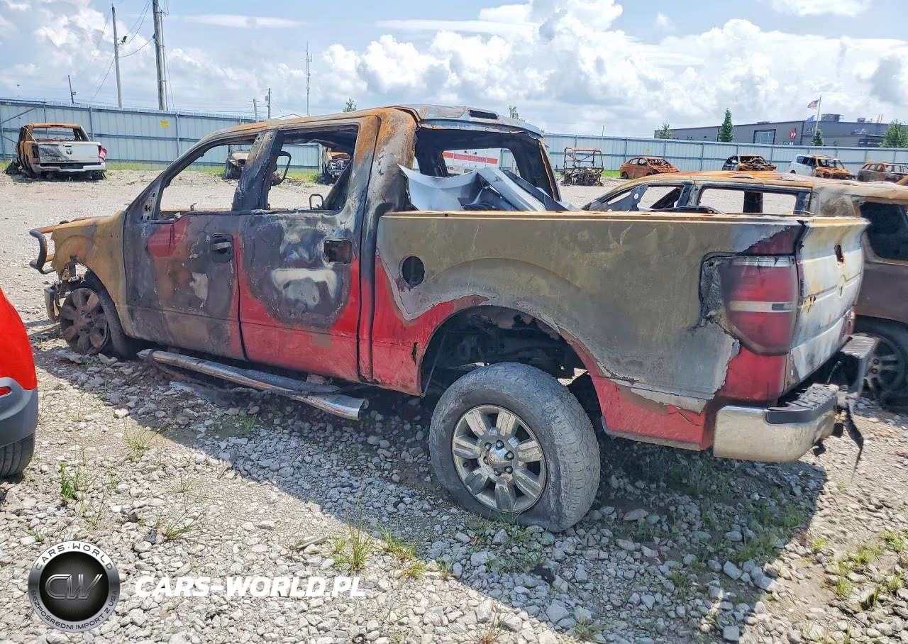 2010 Ford F150 Supercrew VIN:1FTEW1E83AFC31272 - 2