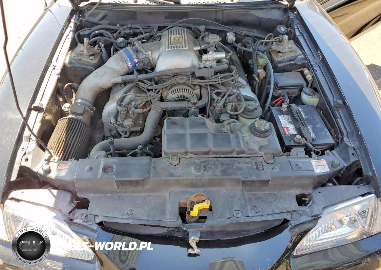 1998 Ford Mustang Cobra VIN:1FAFP46V1WF165647 - 11